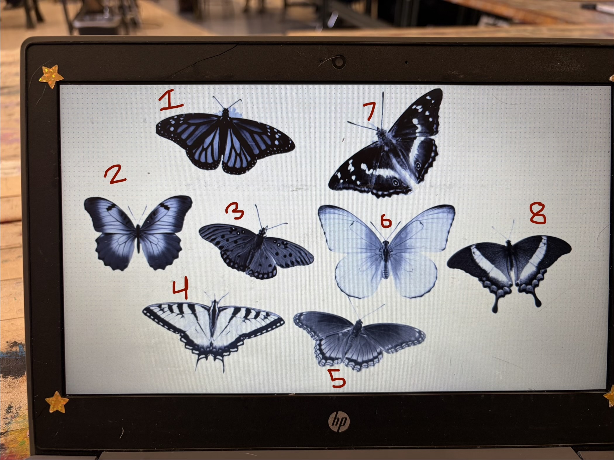 2%20 %20Butterfly%20reference