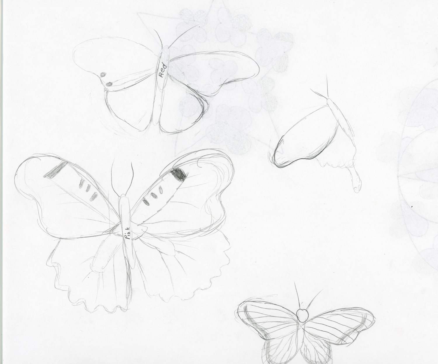 Butterflye%20experiment%202